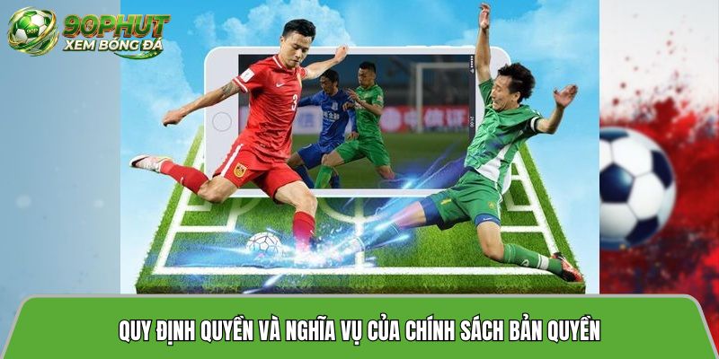 Quy định quyền và nghĩa vụ của chính sách bản quyền