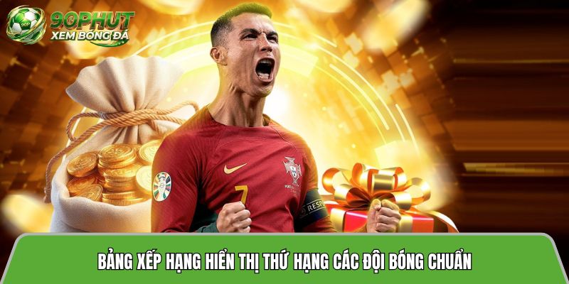 Bảng xếp hạng hiển thị thứ hạng các đội bóng chuẩn