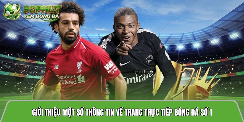 Giới thiệu một số thông tin về trang trực tiếp bóng đá số 1