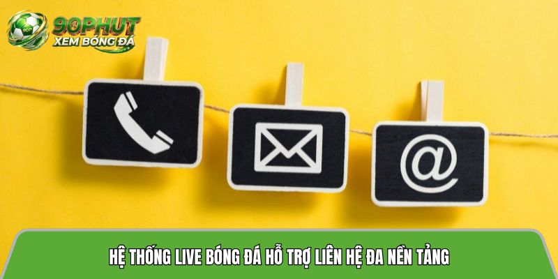 Hệ thống live bóng đá hỗ trợ liên hệ đa nền tảng