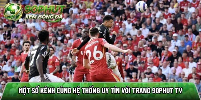 Một số kênh cùng hệ thống uy tín với trang 90phut tv